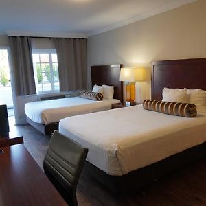 Queen Room Two Queen Beds